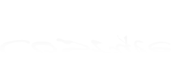 costyle logo